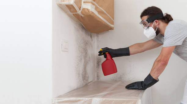 Professional Mold Testing technician working in Riverside, IL